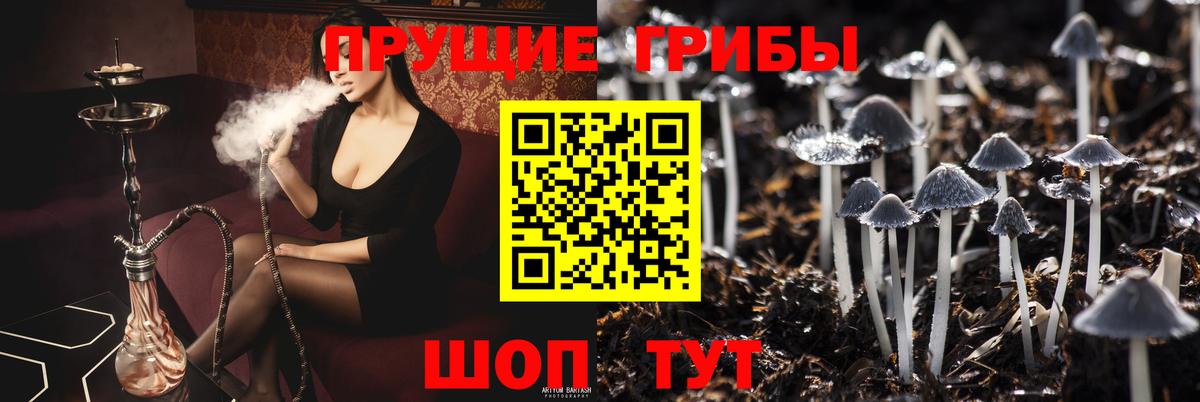 Галлюциногенные грибы мухоморы  Псилоцибиновые грибы Cubensis  как найти   Архангельск  Вход с VPN 